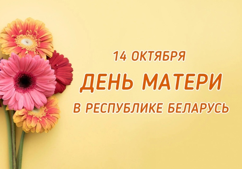 den materi